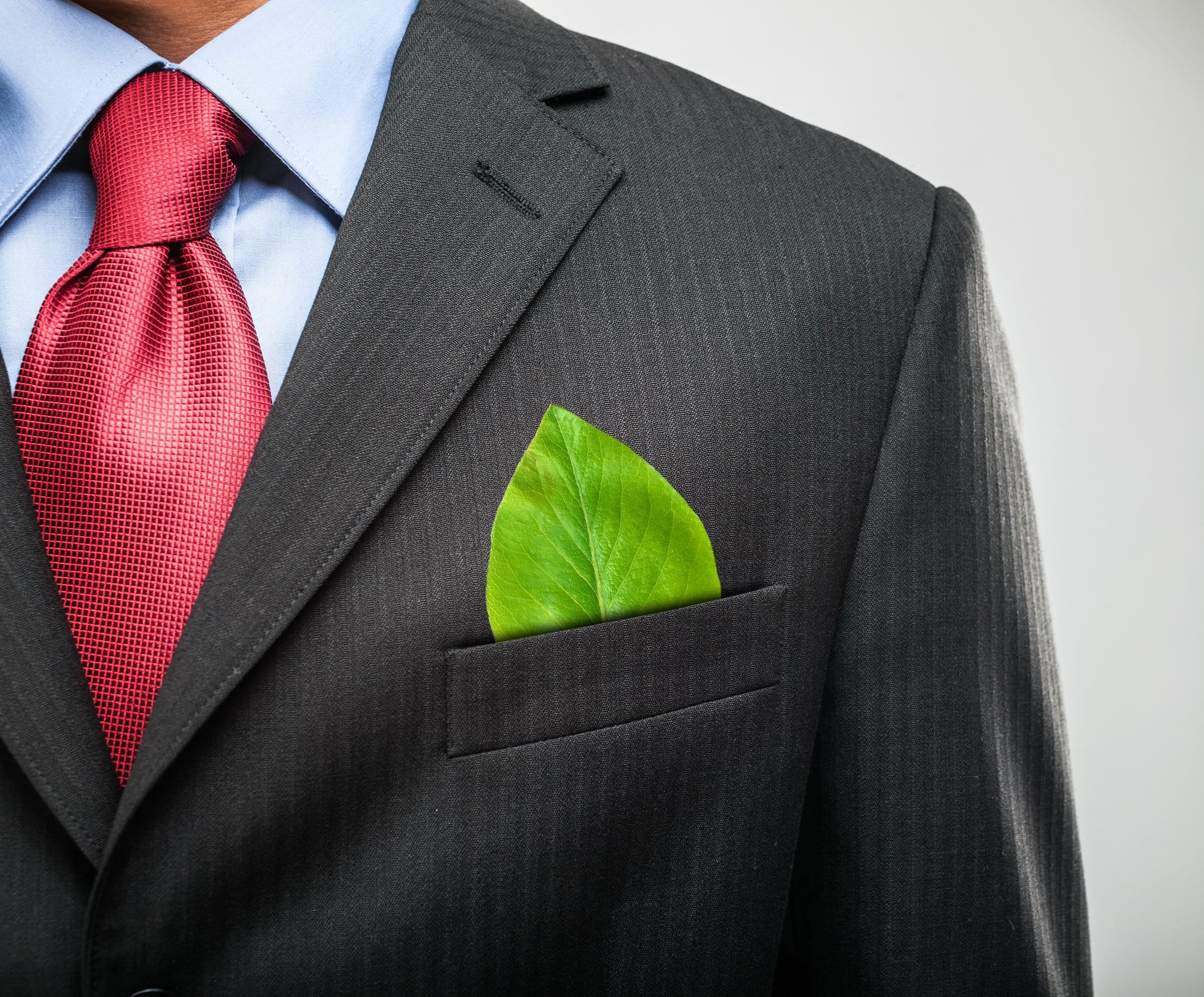Compras Sustentáveis: O Caminho para o Sucesso Empresarial com Impacto Positivo